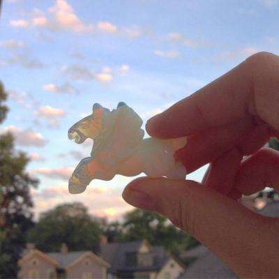 乐鱼体育平台官网登录安装正版最新版v4.4.2.4截图3